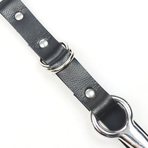 EverydayUse Kinky Anal Collar and 5853 Hook Leash with 0613